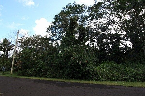 1st image of Ahi St Lot 82