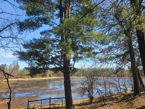 3rd image of 30284 N Nicaboyne Lake Rd