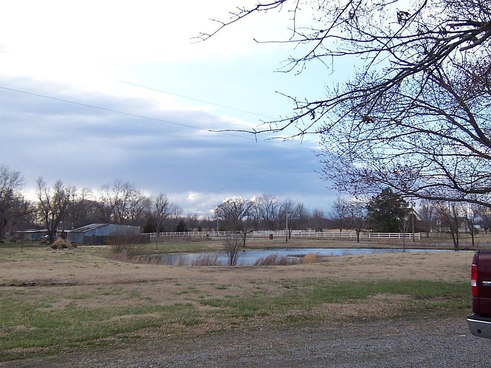 View of the pond