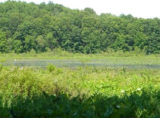 Huff Rd, Bellevue, MI 49021