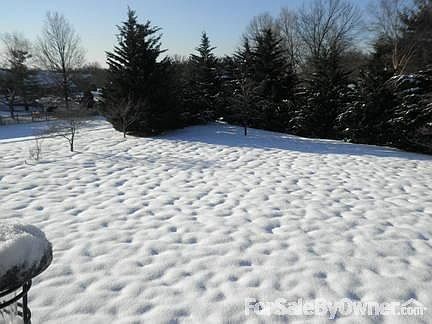 Back Yard from Deck