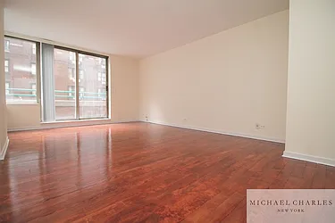 Rented by Michael Charles New York