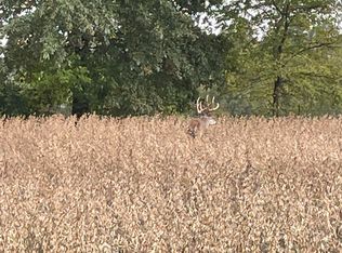 0 Hoffman Rd, Centralia, IL 62801