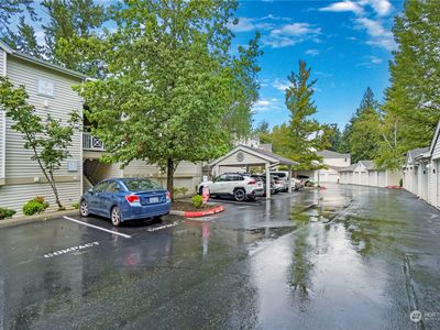 1688 118th Avenue SE #B205, Bellevue, WA, 98005
