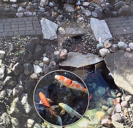 Feed the fish! : Friends and family love to feed the fish off from the customized deck!