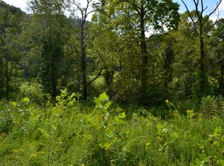 40 Ac Swann Creek Hen Johnson, Sneedville, TN 37869