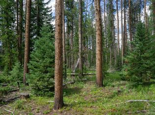 33330 Buckskin Way, Oak Creek, CO 80467