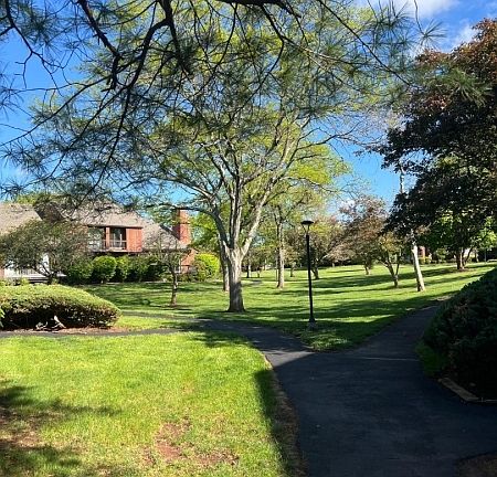 2nd image of 510 Auten Rd 1A #1A