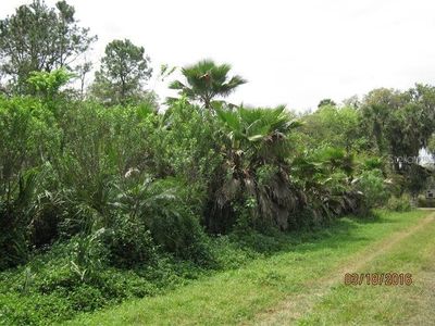 2709 Elm St, Oviedo, FL, 32765