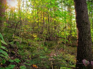 Mount Cardigan Rd, Alexandria, NH 03222