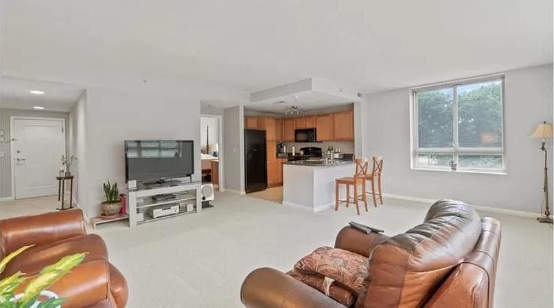 Main Living Room & Kitchen