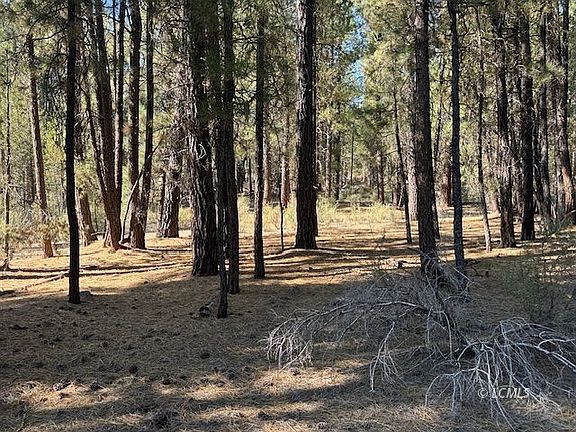 3rd image of Green Forest Dr