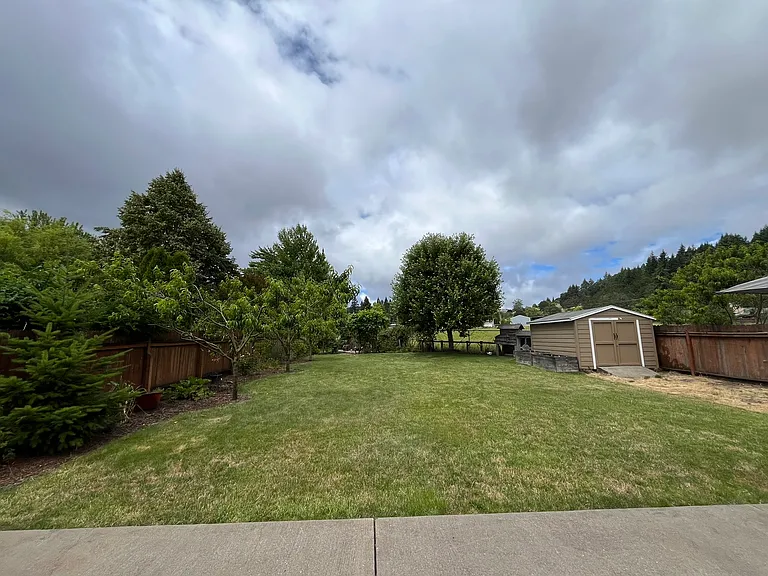 Backyard.