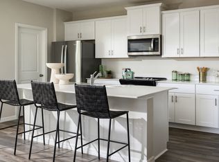 Mojito Plan, Pasadena Ridge, Dade City, FL 33525