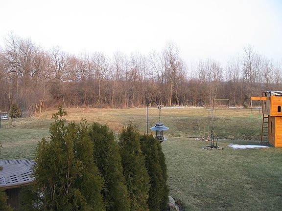 Back yard and Green Space