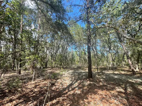 424 Mangrove St #16, Pomona Park, FL 32181