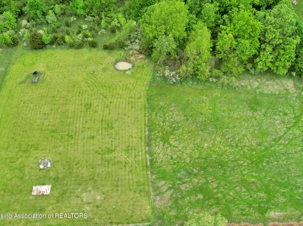 0 E Ridge Rd, Elsie, MI 48831
