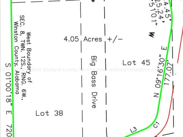 County Road 3973, Arley, AL 35541