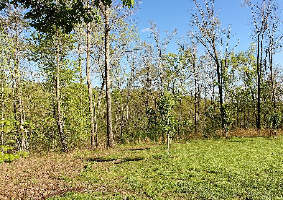 Backyard with Mountain View