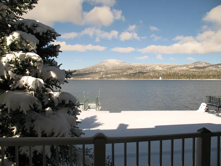 Winter wonderland