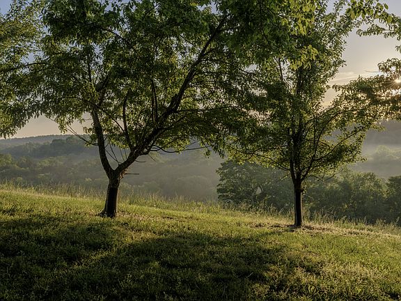 24th image of 3210 Morel Rd