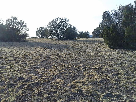 2nd image of 141 Juniper Woods