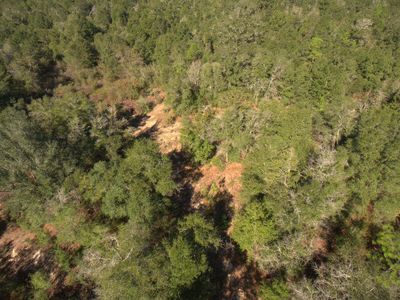 14A Wiggins Rd, Holt, FL, 32564