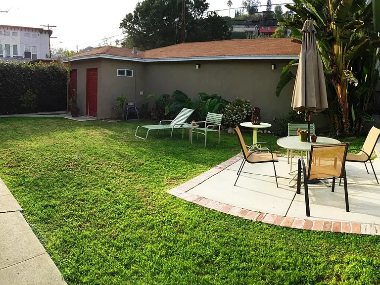 Back yard