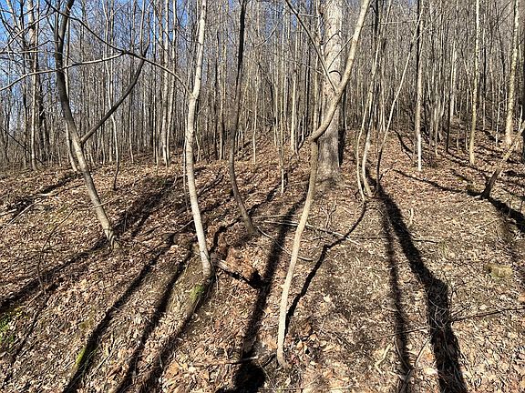 2nd image of Hickson Run Rd