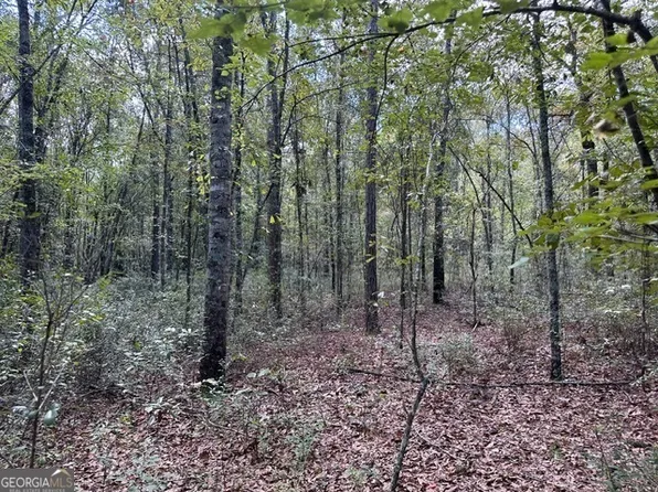 0 Old Prison Camp Rd, Mc Rae Helena, GA 31055