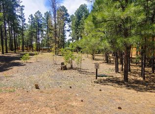 2641 W Snowberry Loop, Show Low, AZ 85901