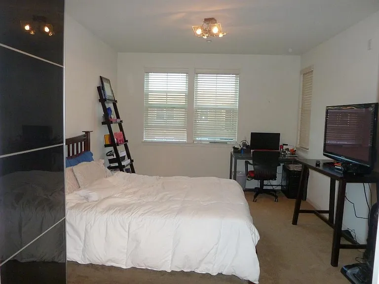 49002 Cinnamon Fern Cmn #503 — Photo 15
