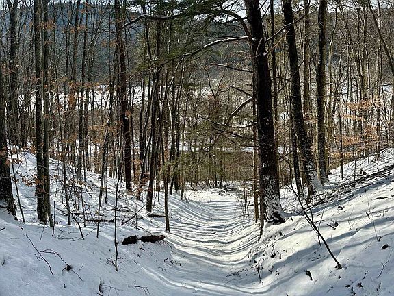 5th image of 0 Ellen Ware Road