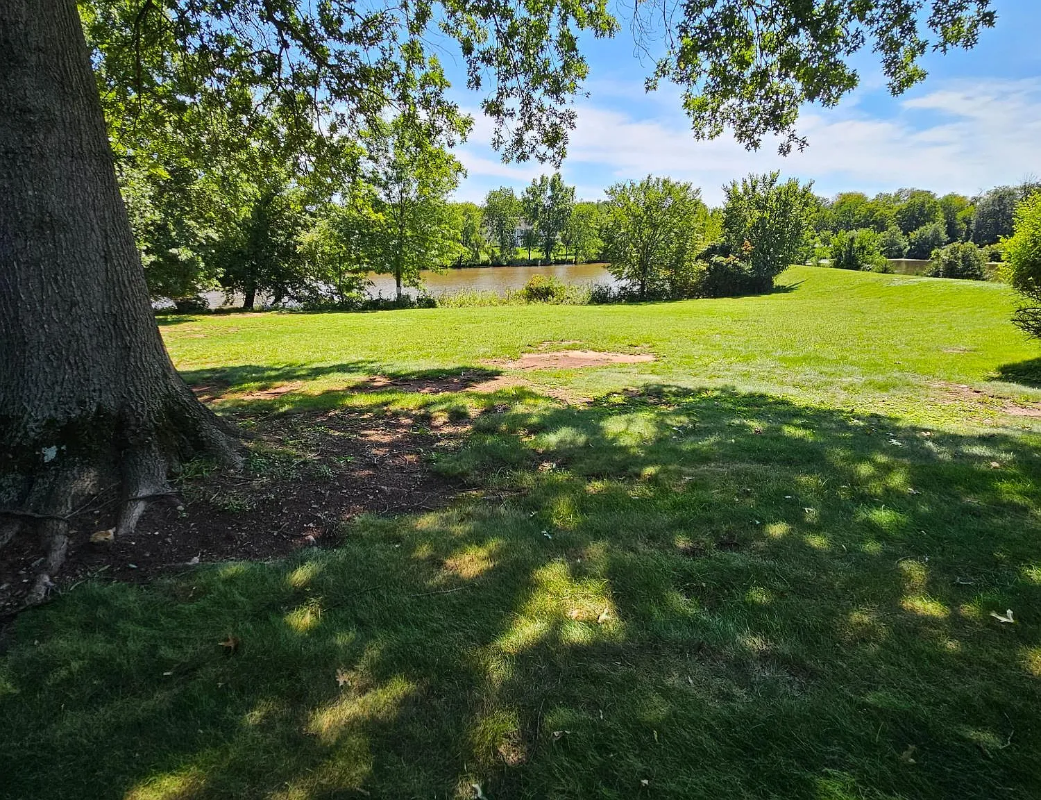 2 bed, 2.5 bath, 1564 sqft, $2,800 — Photo 3