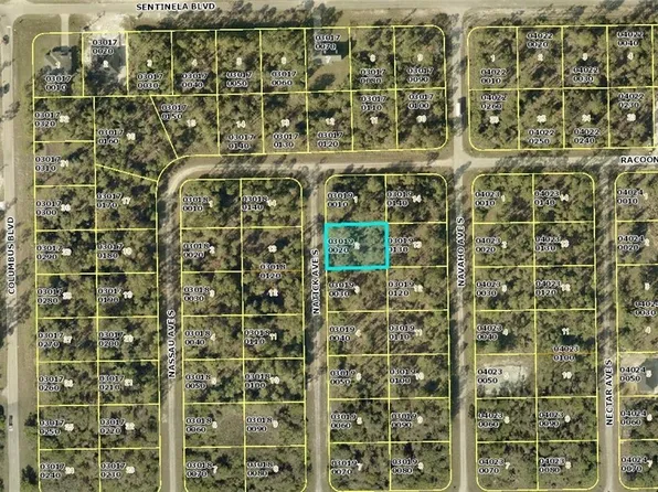 127 Natick Ave S, Lehigh Acres, FL 33974