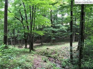 Stewart Wilcox Rd, Todd, NC 28684