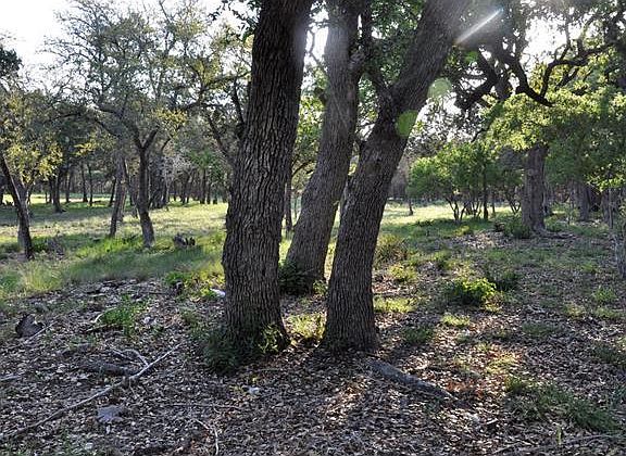 2nd image of 12204 Fm Road 1826