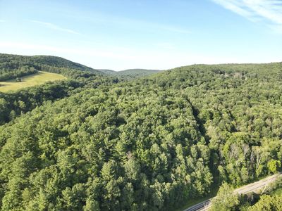 1391 Starrucca Creek Rd, Susquehanna, PA, 18847