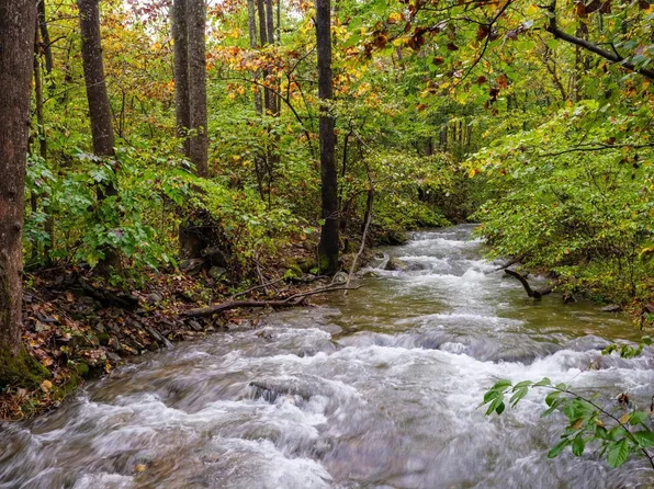 Glass Mountain Ln, Afton, VA 22920