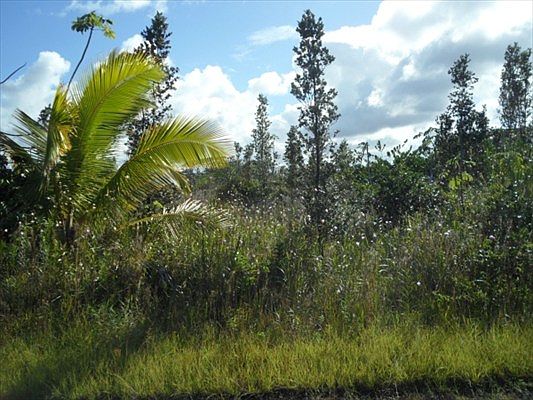 3rd image of 2nd Ave Lot 1442
