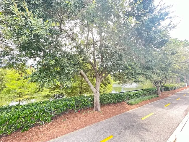 2909 Meadow Lawn Ln — Photo 13