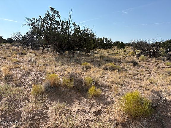 2nd image of 0 Coyote Run #577