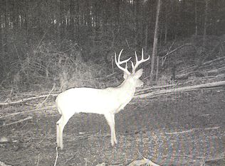 2011 McCay Dr LOT 4, Morris, AL 35116