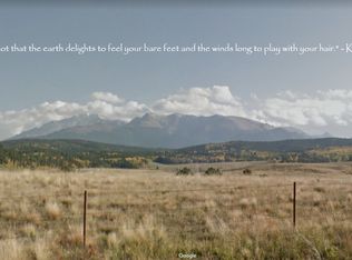 199 Wakanda Trl, Woodland Park, CO 80863