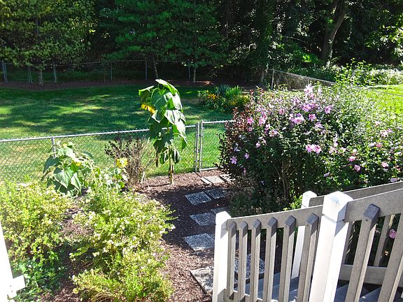 Back deck, garden and yard