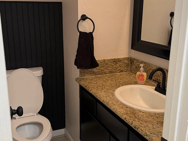 Downstairs guest bathroom