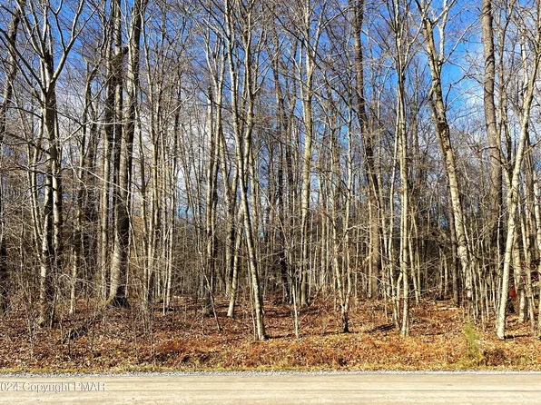 LOT 11 Wyomissing Dr, Pocono Lake, PA 18347