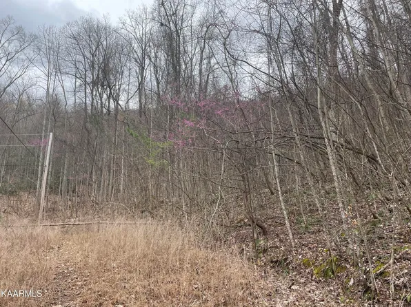 Grand Country Dr, Cosby, TN 37722