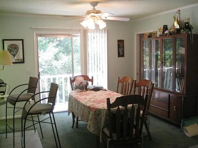 800 Mallery St #2 — Photo 5