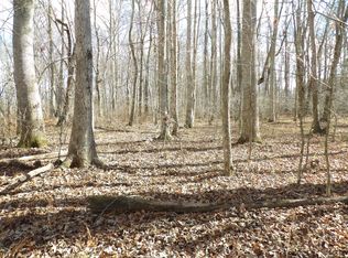 1 Cyrus Daniels Rd, Evensville, TN 37332